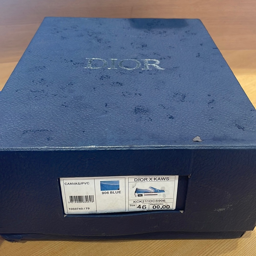 Christian Dior X Kaws 906 blue